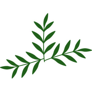 Leaves 2 Thumbnail