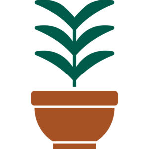 Plant 2 Thumbnail