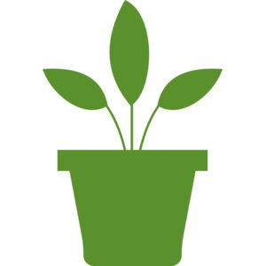 Plant 2 Thumbnail