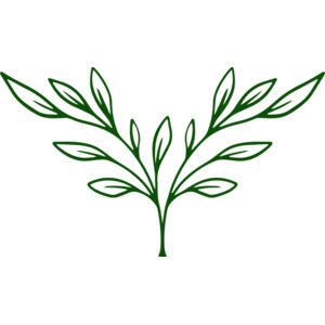 Plants 3 Thumbnail