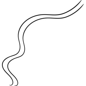 Abstract Curved Line Thumbnail
