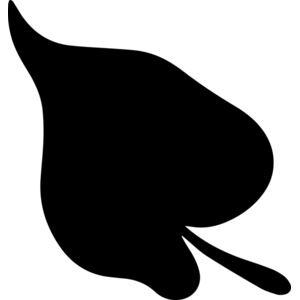 Heart Leaf Thumbnail
