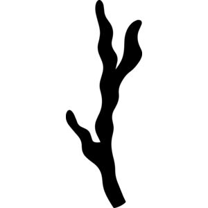 Twig Branch Thumbnail