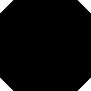Octagon Frame Thumbnail