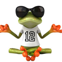 Add 12 Products to Webstore Thumbnail