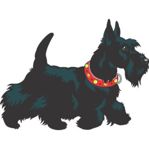 Dog 10 Thumbnail