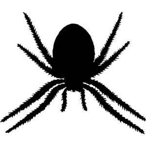 Spider Silhouette 2 Thumbnail