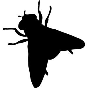 Fly Silhouette 7 Thumbnail