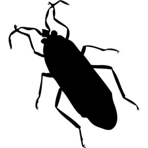 Cockroach Silhouette 5 Thumbnail