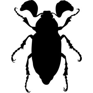 Bug Silhouette 4 Thumbnail
