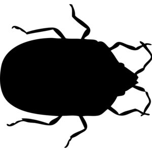 Bed Bug Silhouette 4 Thumbnail