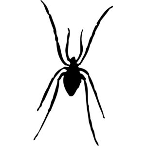 Spider Silhouette 17 Thumbnail