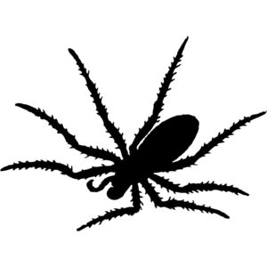 Spider Silhouette 19 Thumbnail
