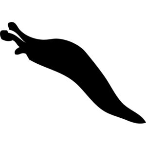 Slug Silhouette 1 Thumbnail