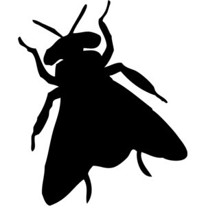 Fly Silhouette 5 Thumbnail