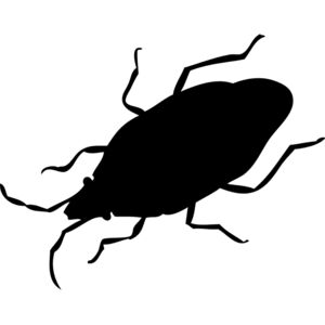 Cockroach Silhouette 8 Thumbnail