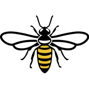 Bee 12 Thumbnail