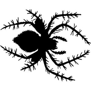 Spider Silhouette 13 Thumbnail