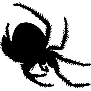 Spider Silhouette 12 Thumbnail