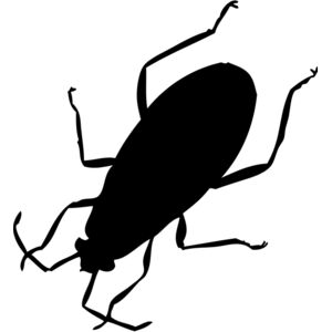Cockroach Silhouette 1 Thumbnail