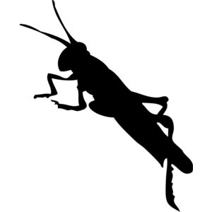 Bug Silhouette 10 Thumbnail