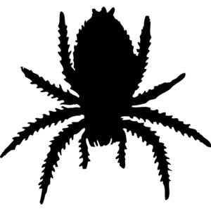 Spider Silhouette 16 Thumbnail