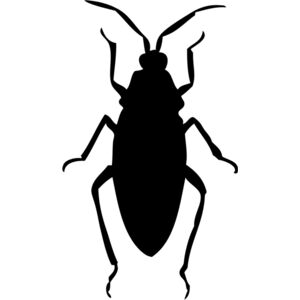 Cockroach Silhouette 3 Thumbnail