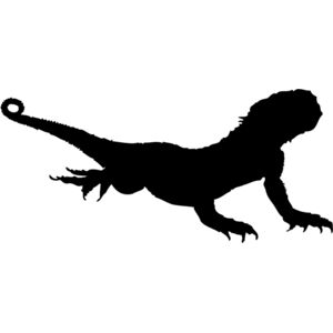Lizard Silhouette 2 Thumbnail