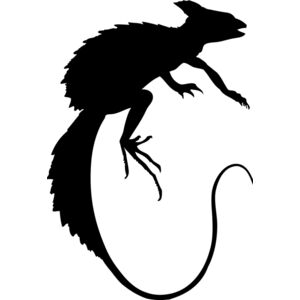 Lizard Silhouette 19 Thumbnail