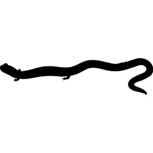 Lizard Silhouette 3 Thumbnail