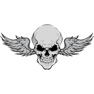 Skull Wings 3 Thumbnail