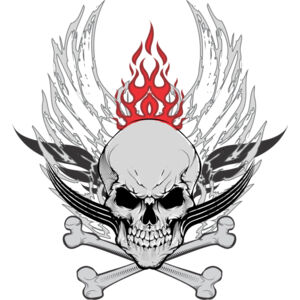 Skull Crossbones Fire Wings 1 Thumbnail