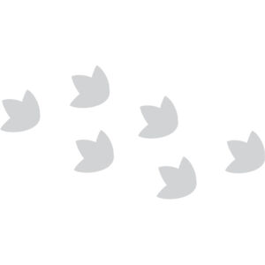 Cartoon Dinosaur Foot Prints 1 Thumbnail