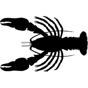 Lobster Silhouette 2 Thumbnail