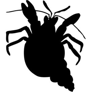 Hermit Crab Silhouette 2 Thumbnail