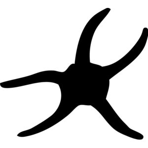 Starfish Silhouette 2 Thumbnail