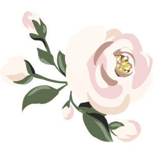 Pink Roses Flower 13 Thumbnail