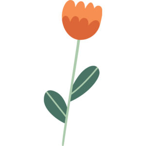 Fall Autumn Tulip Flower 1 Thumbnail