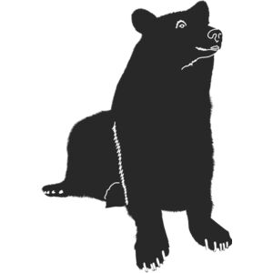 Bear SIlhouette 8 Thumbnail