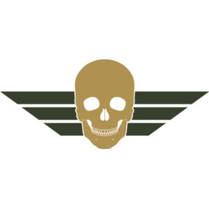 Military Skull Wings Emblem 1 Thumbnail