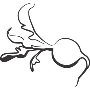Raddish 1 Thumbnail