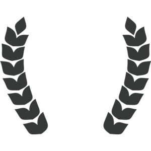 Branch Wreath 79 Thumbnail