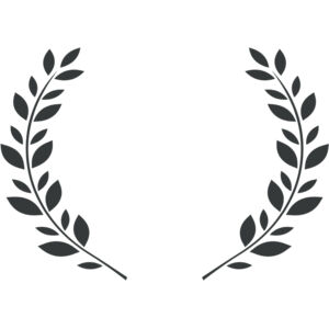 Branch Wreath 51 Thumbnail