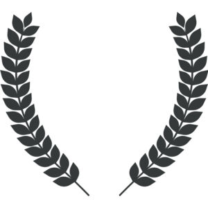 Branch Wreath 24 Thumbnail