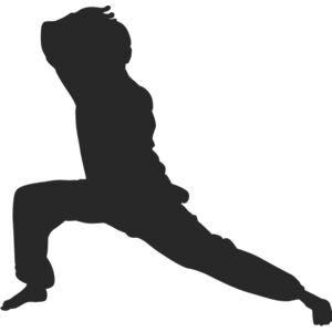 Martial Arts Fighter Silhouette 9 Thumbnail