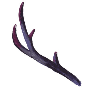 Watercolor Branch Antler 2 Thumbnail