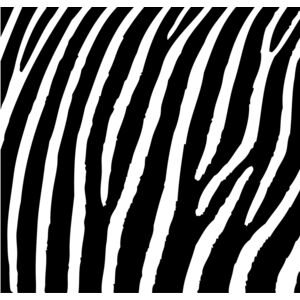 Zebra Print Stripes Background 3 Thumbnail