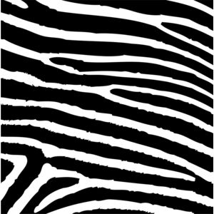 Zebra Print Stripes Background 4 Thumbnail