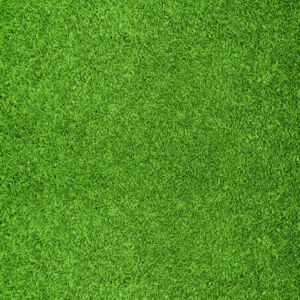 Grass Texture Background Thumbnail