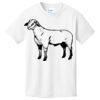 1-Hr RUSH NO MINIMUM Youth T-Shirt Thumbnail